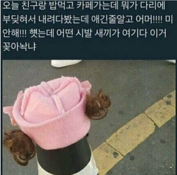 머하는 놈이냐 이건?