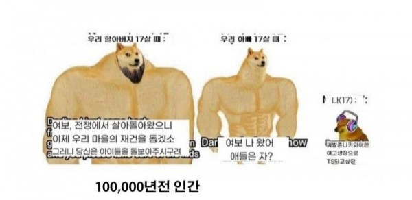 근육 시바견 밈 모음 : 네이버 블로그 | 시바견, 밈, 웃긴