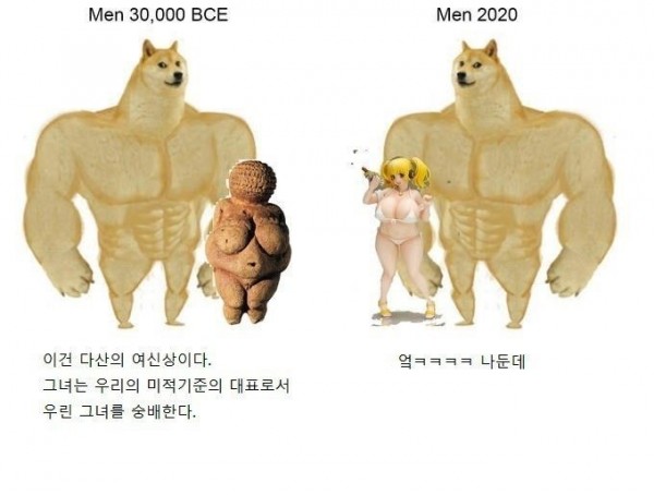 근육 시바견 밈 모음 : 네이버 블로그 | 웃긴 밈, 롤 사진, 재미있는 유머