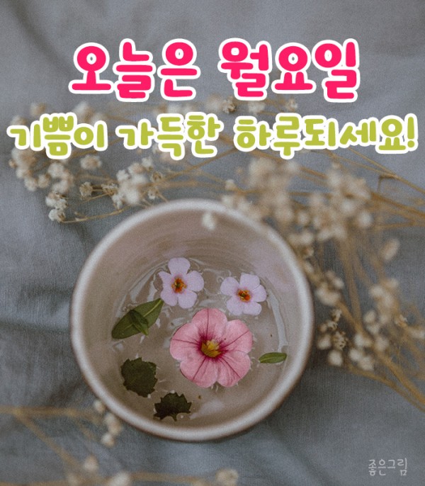 월요일 굿모닝 좋은아침 인사말 이미지