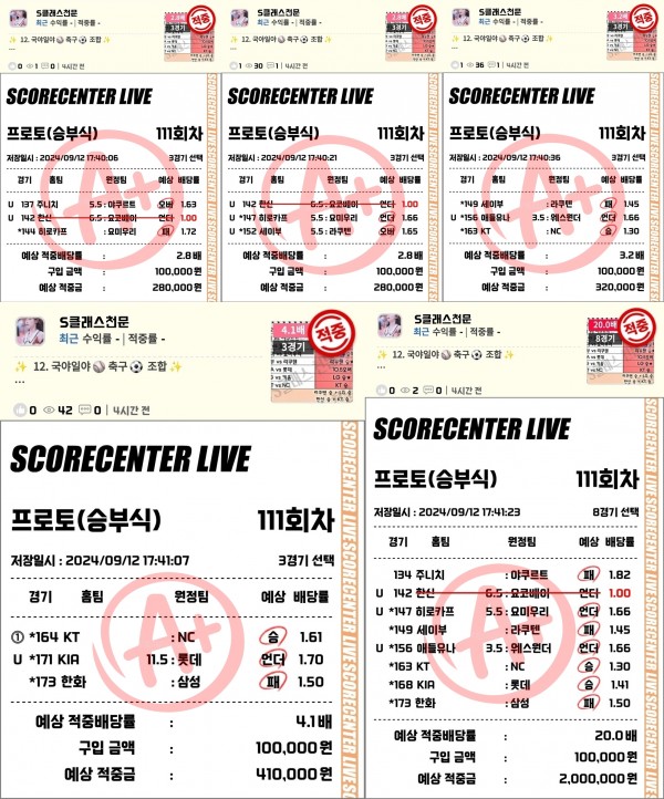 12일 국야일야 조합 결과.jpg