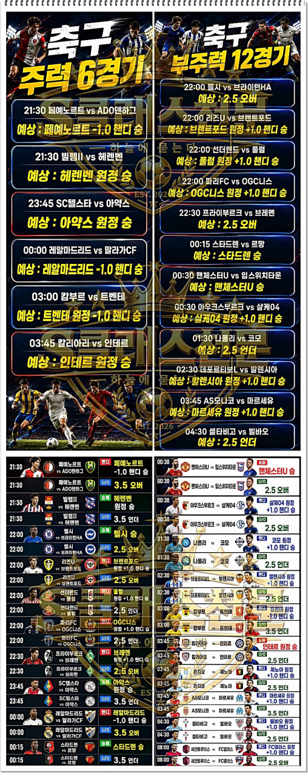 새축완.jpg